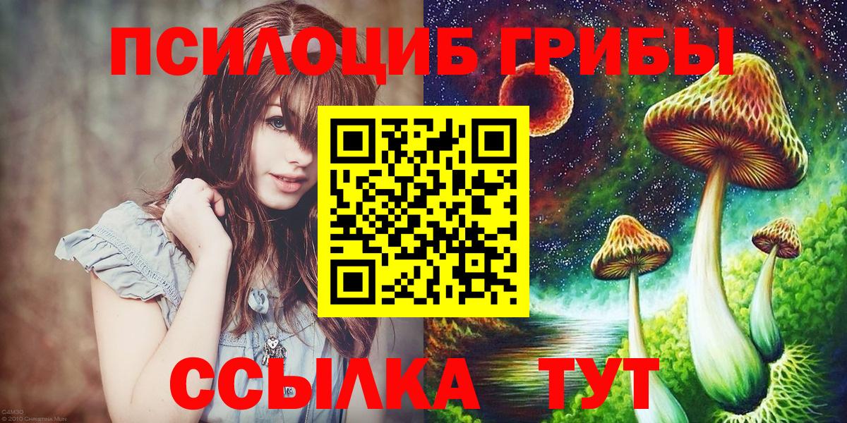 Сланцы  Галлюциногенные грибы GOLDEN TEACHER  Вход с VPN 