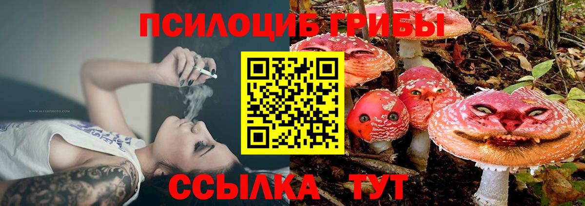 Псилоцибиновые грибы мухоморы Сланцы